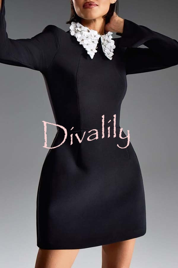 Alisha Contrast Floral Appliqué Pointed Collar Long Sleeve Pocketed Mini Dress