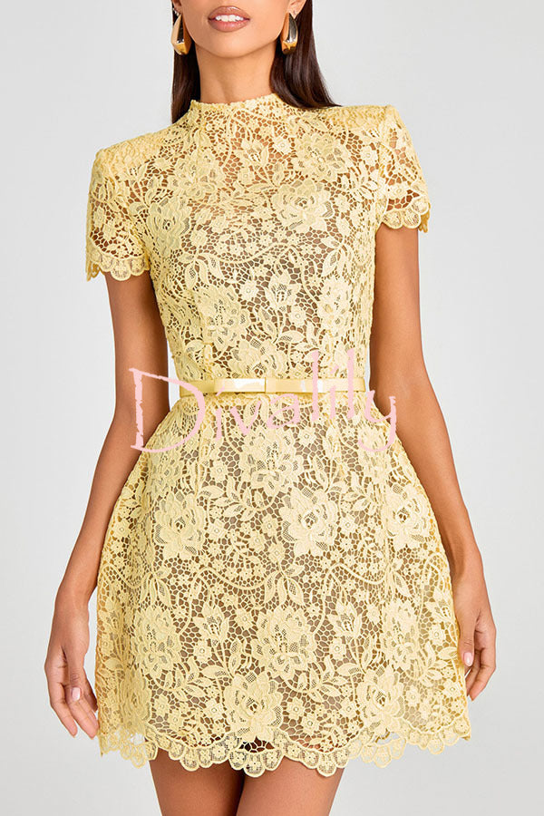 Champagne Toast Flower Lace Short Sleeve Bow Belted Mini Dress