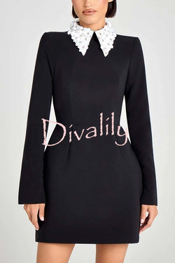 Alisha Contrast Floral Appliqué Pointed Collar Long Sleeve Pocketed Mini Dress