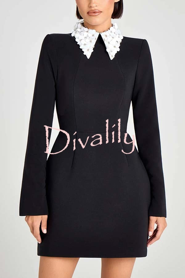 Alisha Contrast Floral Appliqué Pointed Collar Long Sleeve Pocketed Mini Dress