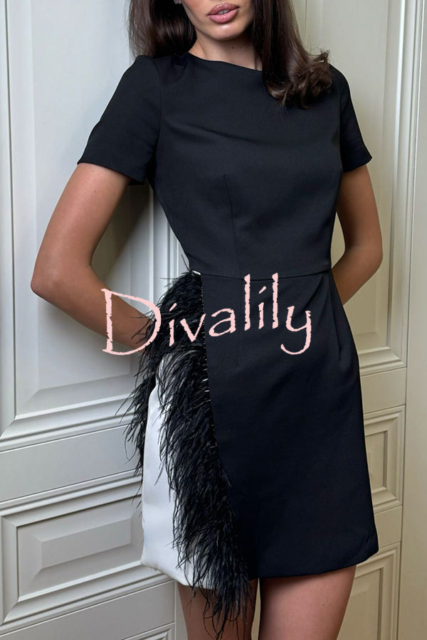 Marcelle Feather Trim Short Sleeve Color-block Him Mini Dress