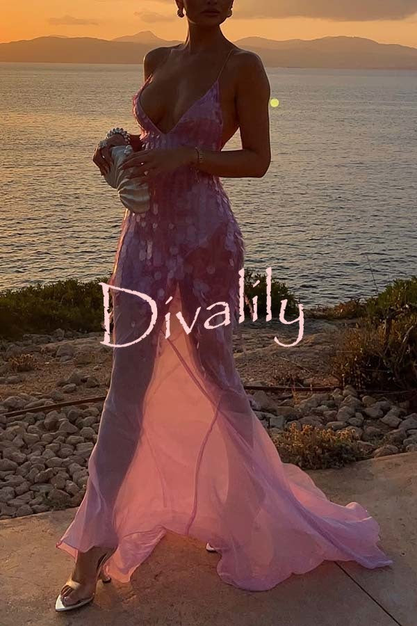 Perfect Night Sequin Embroidery Backless Drape Tulle Hem Slip Maxi Dress
