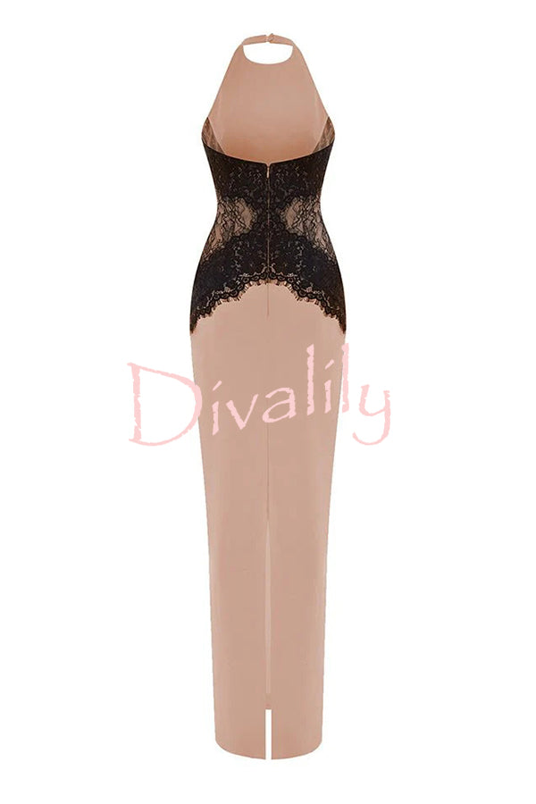 Sexy Halterneck Lace Paneled Backless Slim Maxi Dress