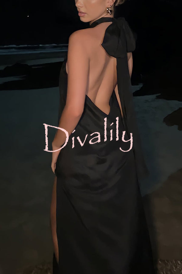 Floral Embellished Satin Halterneck Backless Resort Maxi Dress