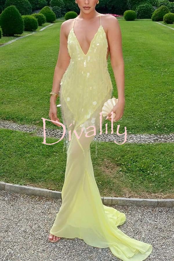 Perfect Night Sequin Embroidery Backless Drape Tulle Hem Slip Maxi Dress