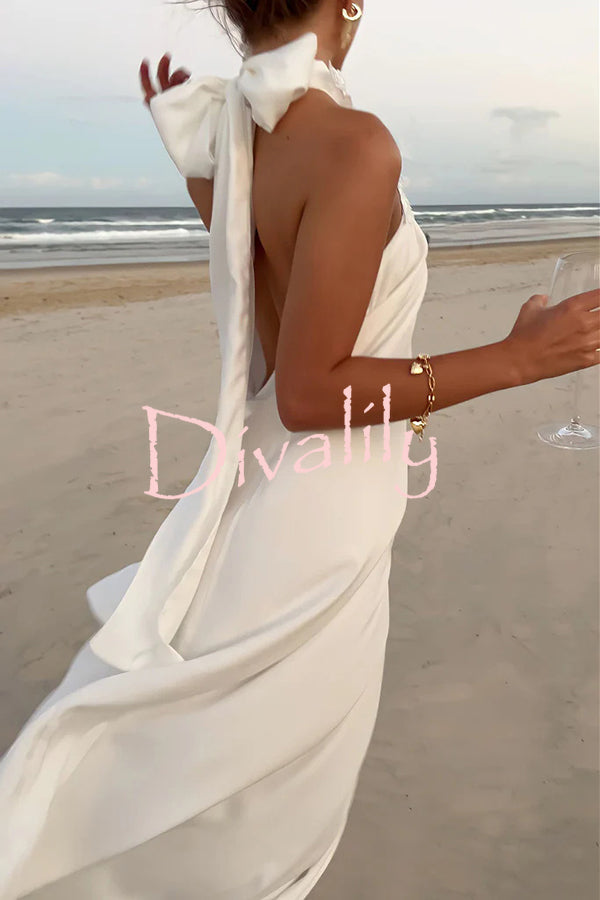 Floral Embellished Satin Halterneck Backless Resort Maxi Dress